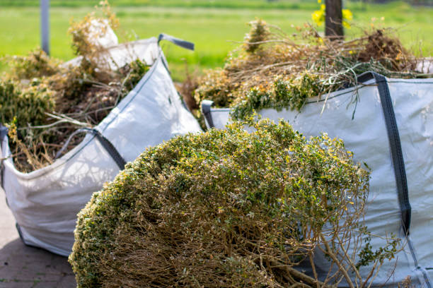 Reliable Kingsport, TN Junk Removal Solutions